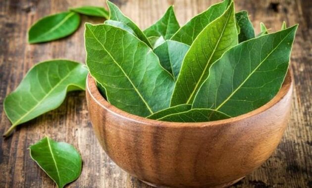 Bay leaves for the preparation of a decoction that relieves swelling of the knee with arthrosis