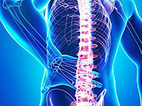 How to treat pain in the lower back